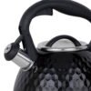 Elegant Whistling Kettle