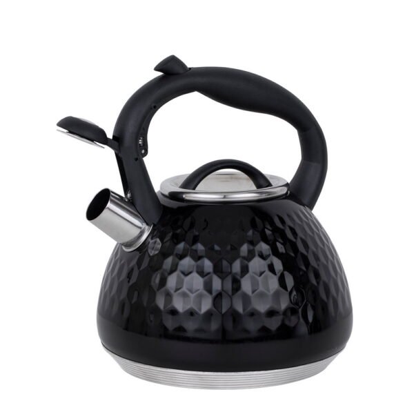 Elegant Whistling Kettle